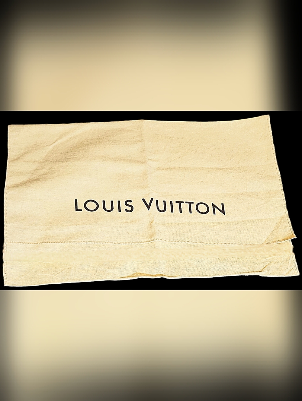 Louis Vuitton Large Envelope Dust Bag Neverfull Speedy OnTheGo Handbag Storage